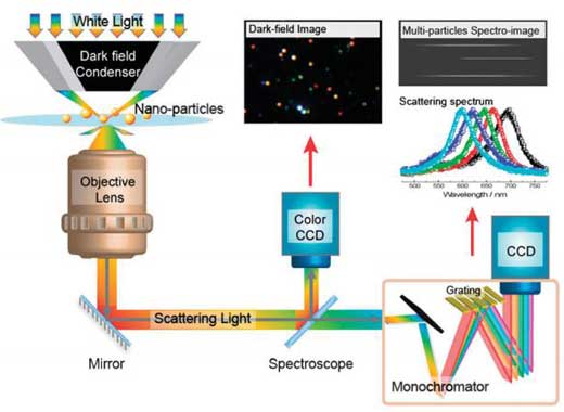 小尺度結構研究必備&mdash;&mdash;暗場散射光譜
